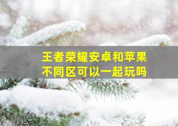 王者荣耀安卓和苹果不同区可以一起玩吗