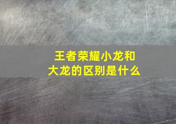 王者荣耀小龙和大龙的区别是什么