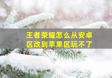 王者荣耀怎么从安卓区改到苹果区玩不了