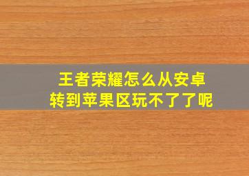 王者荣耀怎么从安卓转到苹果区玩不了了呢