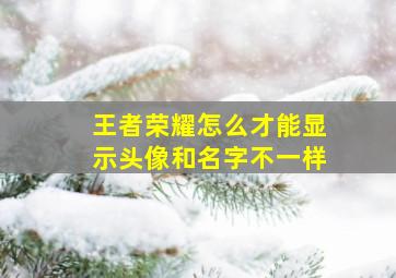 王者荣耀怎么才能显示头像和名字不一样