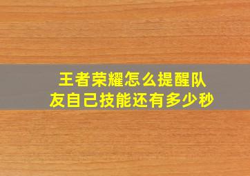 王者荣耀怎么提醒队友自己技能还有多少秒