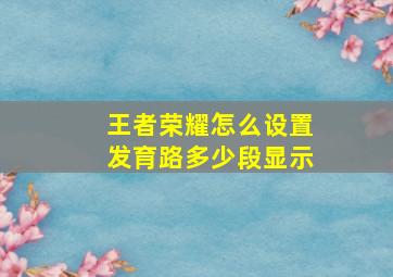 王者荣耀怎么设置发育路多少段显示