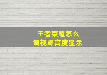 王者荣耀怎么调视野高度显示