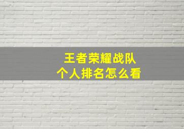 王者荣耀战队个人排名怎么看