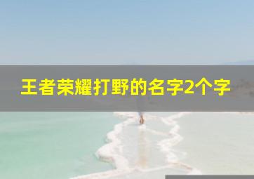 王者荣耀打野的名字2个字