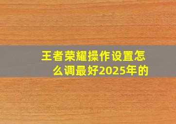 王者荣耀操作设置怎么调最好2025年的