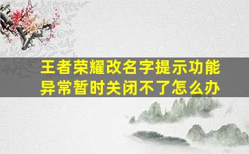 王者荣耀改名字提示功能异常暂时关闭不了怎么办