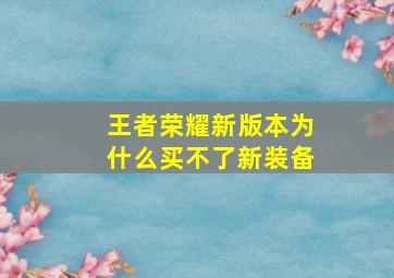 王者荣耀新版本为什么买不了新装备