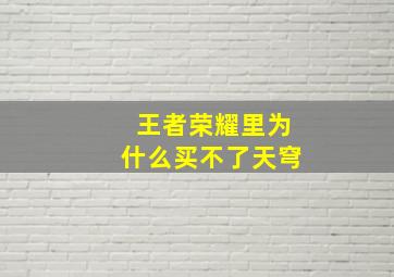 王者荣耀里为什么买不了天穹