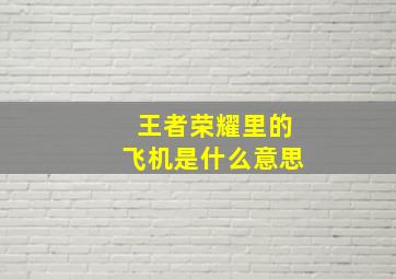 王者荣耀里的飞机是什么意思