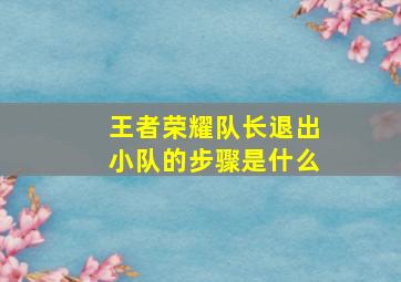 王者荣耀队长退出小队的步骤是什么