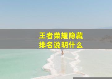 王者荣耀隐藏排名说明什么