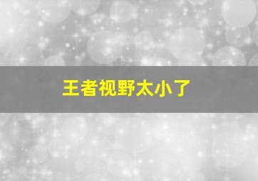 王者视野太小了