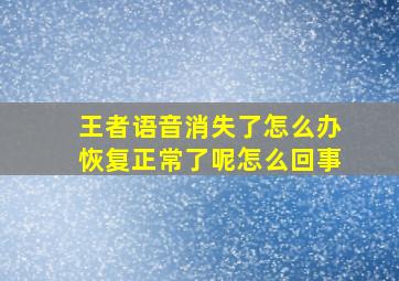 王者语音消失了怎么办恢复正常了呢怎么回事