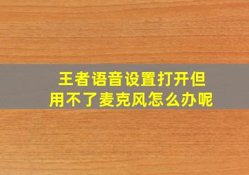 王者语音设置打开但用不了麦克风怎么办呢