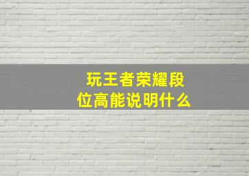 玩王者荣耀段位高能说明什么