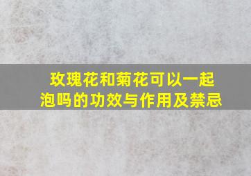 玫瑰花和菊花可以一起泡吗的功效与作用及禁忌