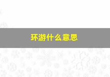 环游什么意思