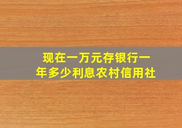 现在一万元存银行一年多少利息农村信用社