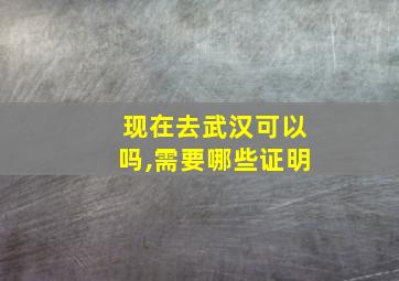 现在去武汉可以吗,需要哪些证明