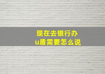 现在去银行办u盾需要怎么说