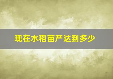 现在水稻亩产达到多少