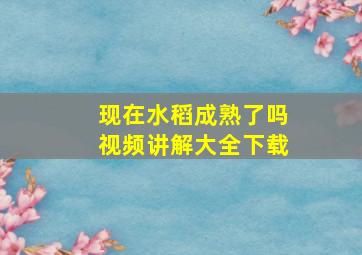 现在水稻成熟了吗视频讲解大全下载