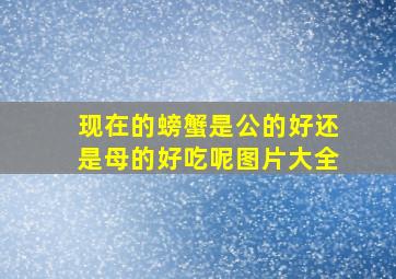 现在的螃蟹是公的好还是母的好吃呢图片大全