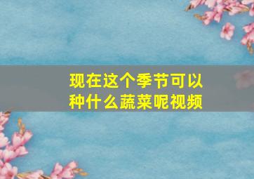 现在这个季节可以种什么蔬菜呢视频