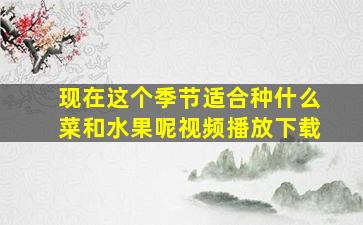 现在这个季节适合种什么菜和水果呢视频播放下载