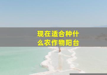 现在适合种什么农作物阳台