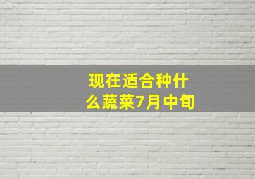 现在适合种什么蔬菜7月中旬