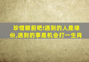 珍惜眼前吧!遇到的人是缘份,遇到的事是机会打一生肖