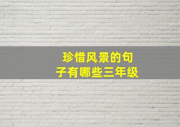 珍惜风景的句子有哪些三年级