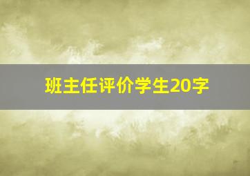 班主任评价学生20字