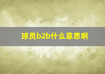 球员b2b什么意思啊