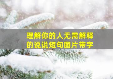 理解你的人无需解释的说说短句图片带字