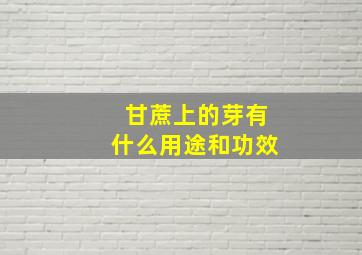 甘蔗上的芽有什么用途和功效