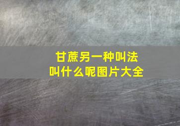 甘蔗另一种叫法叫什么呢图片大全