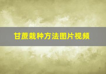 甘蔗栽种方法图片视频