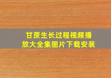 甘蔗生长过程视频播放大全集图片下载安装