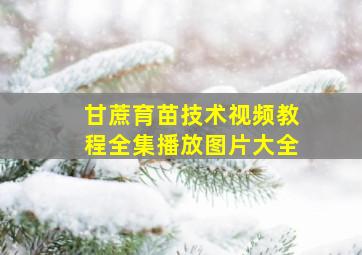 甘蔗育苗技术视频教程全集播放图片大全