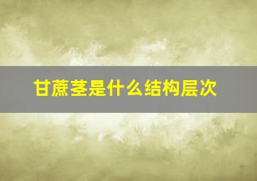 甘蔗茎是什么结构层次