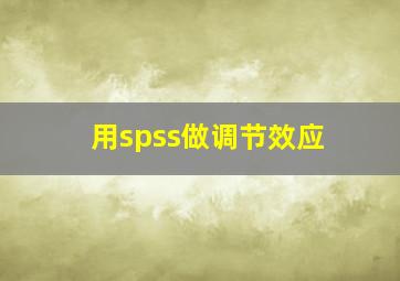 用spss做调节效应