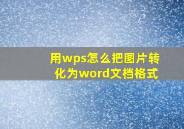 用wps怎么把图片转化为word文档格式