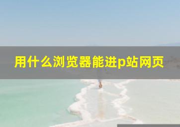 用什么浏览器能进p站网页