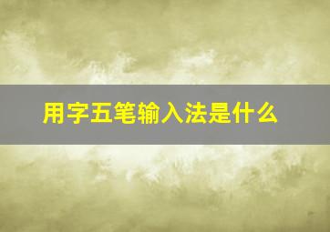 用字五笔输入法是什么