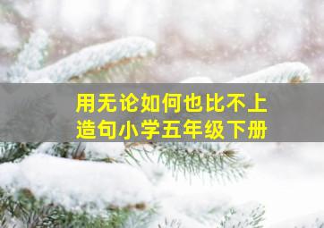 用无论如何也比不上造句小学五年级下册