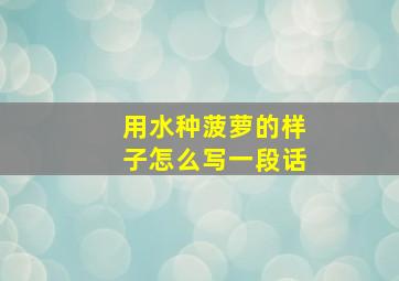 用水种菠萝的样子怎么写一段话